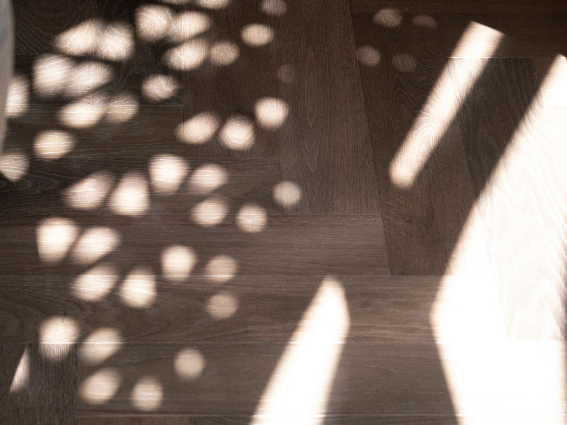 Dappled screen shadows falling across dark herringbone flooring at Clara Residence