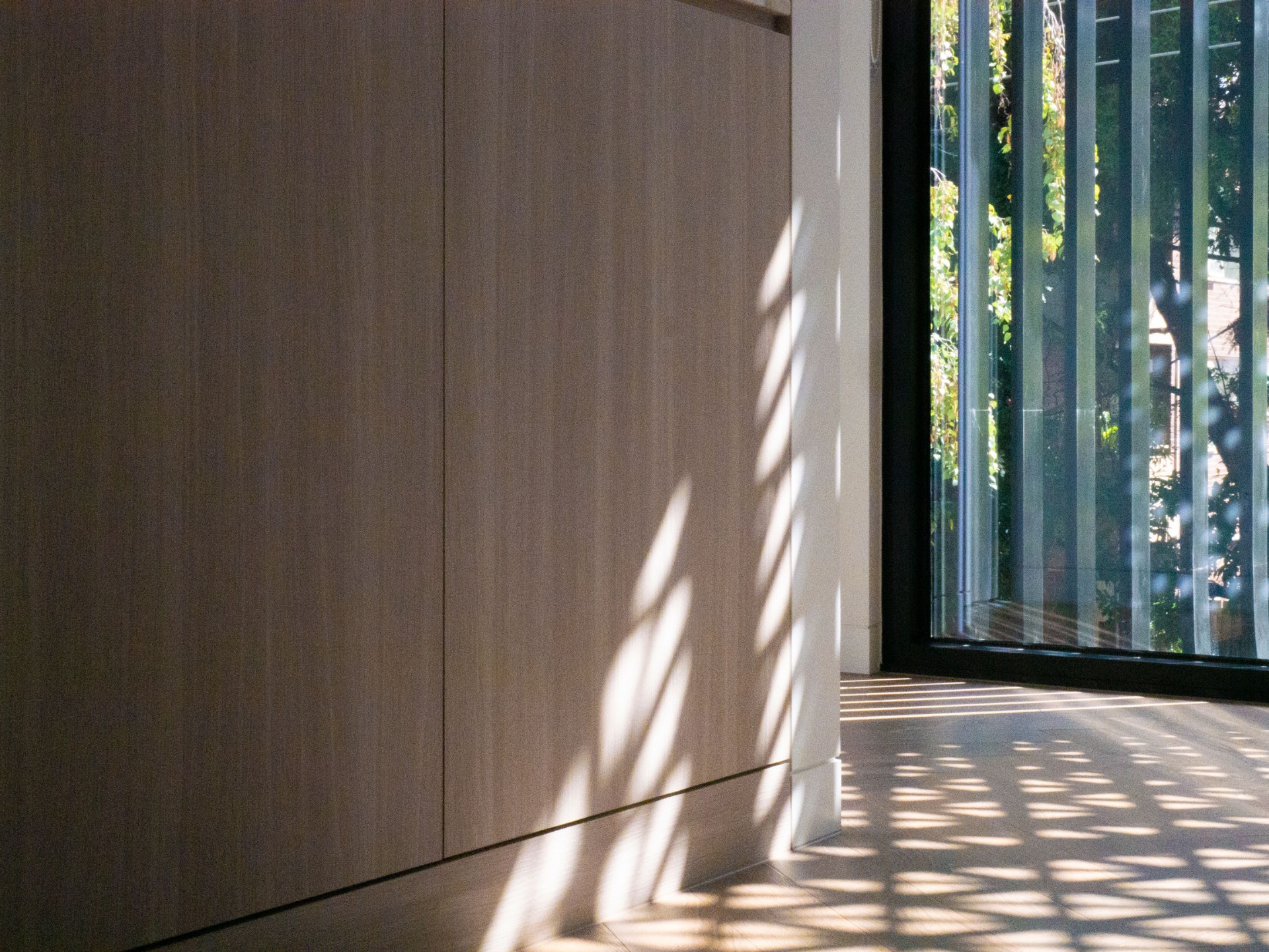 58 Clara Street South Yarra by Mike and Morlly Architects — joinery washed by natural light 58 Clara Street South Yarra by Mike and Morlly Architects — joinery washed by natural light